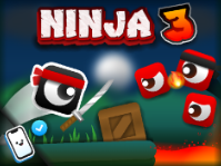 Ninja 3